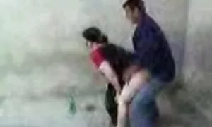 plug ea uzbek e holi ...